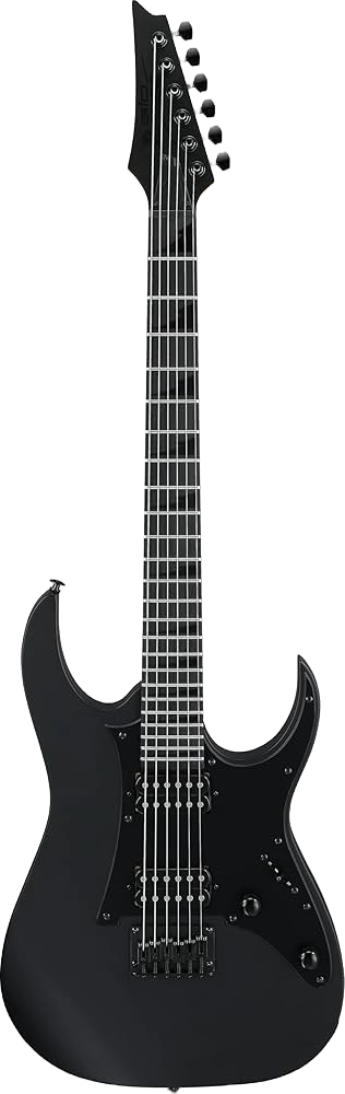 Schwarze E-Gitarre